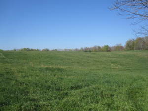 Lot 1 Windpsalm Subdivision Renick, WV 24966