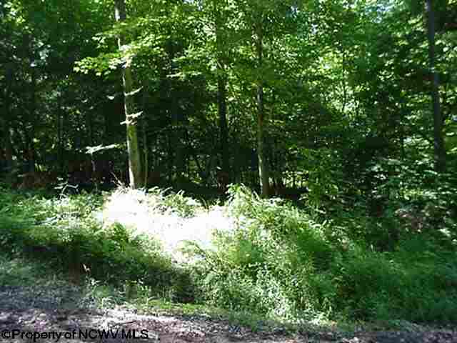 Lot 24 Leonard Circle Beverly, WV 26253