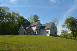 393 Auburn Hills Dr Bruceton Mills, WV 26525