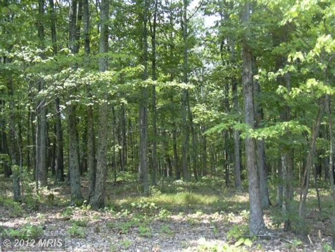 16 Sleepy Knolls Shanks, WV 26761