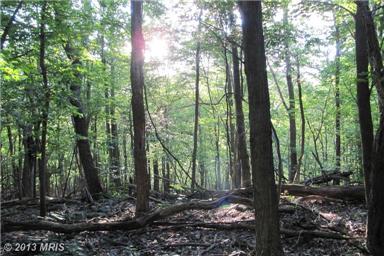 Lot 10 Endless Mtn Rd Maysville, WV 26833